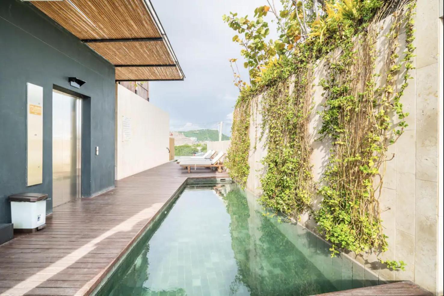 Sunny New In The Old